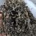 绍兴梅干菜农家制作货源充足产地直销