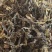 绍兴梅干菜农家制作货源充足产地直销
