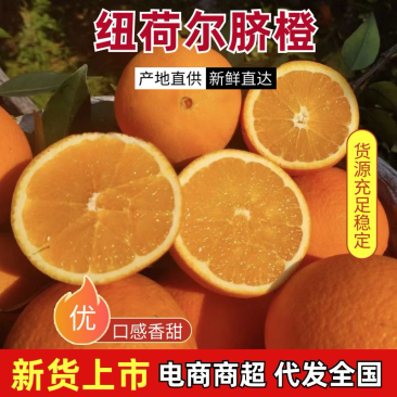 《纽荷尔》湖北秭归脐橙，产地直发大量供应市场商超电商等