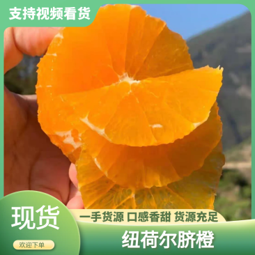 《纽荷尔脐橙》原产地直发.口感纯甜.量大质优、可持续供货