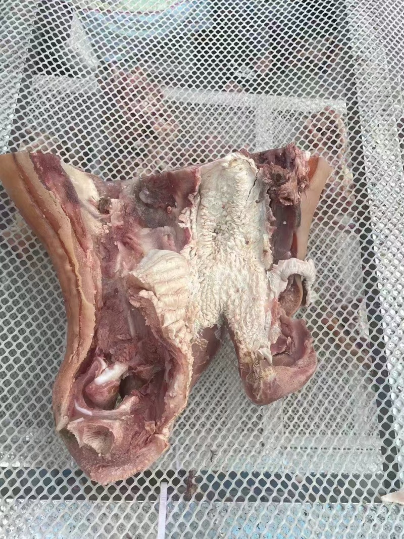 河南精品原味精修牛嘴牛脸品质保障口感好品类齐全价格优惠