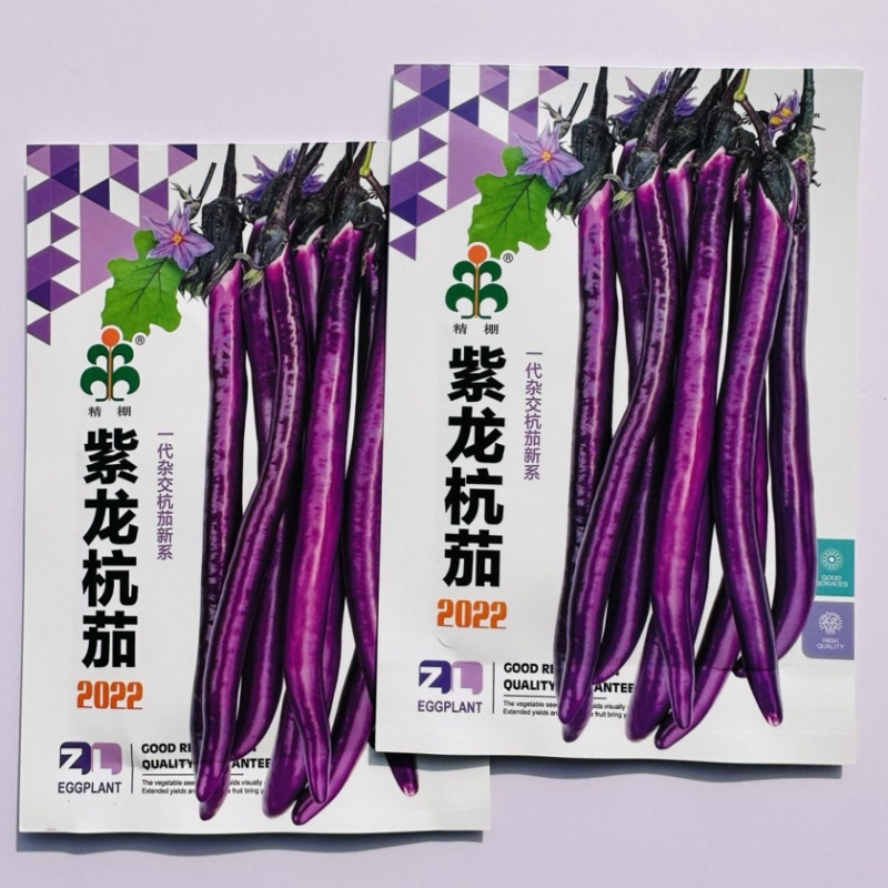 紫龙杭茄种子早熟紫红细长条皮薄软糯细腻微甜