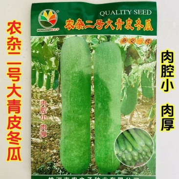 农杂二号大青皮冬瓜种子肉厚内腔小中晚熟青皮大冬瓜种子耐热