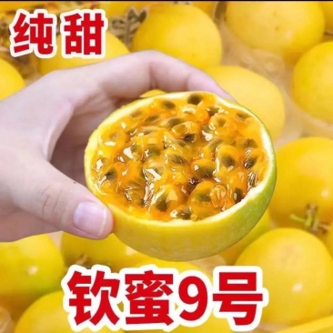 钦密9号黄金百香果