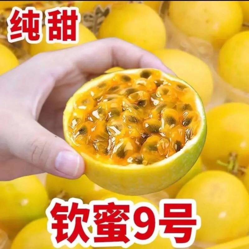 钦密9号黄金百香果