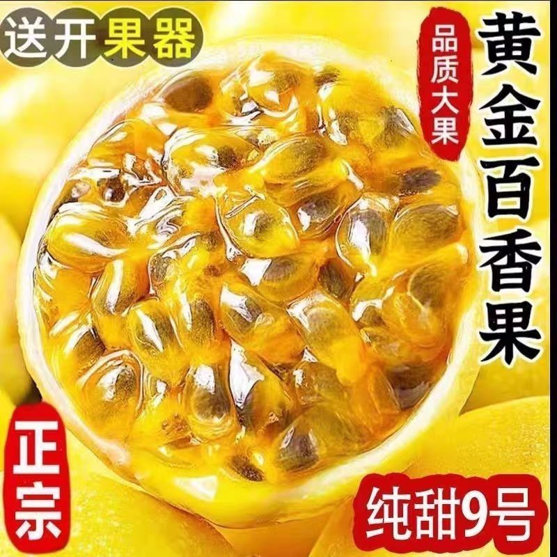 钦密9号黄金百香果