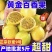 钦密9号黄金百香果