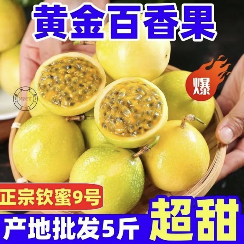 钦密9号黄金百香果