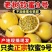 钦密9号黄金百香果