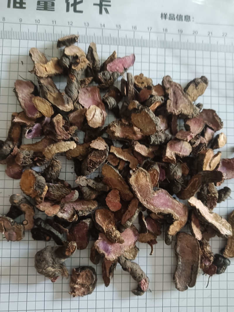 紫参，拳参，新货无硫产地直发实拍现货，24小时内发货