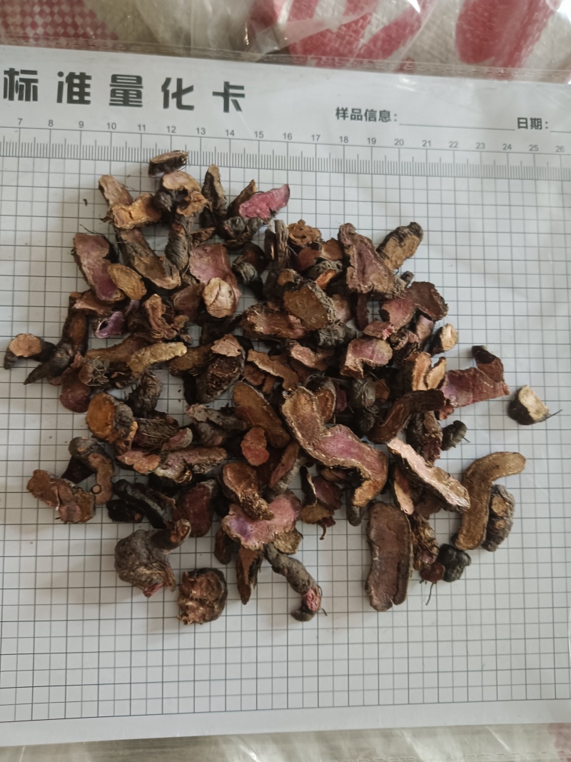紫参，拳参，新货无硫产地直发实拍现货，24小时内发货