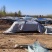 安阳内黄麻山药产地一手货源现挖现发品质保证