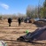 安阳内黄麻山药产地一手货源现挖现发品质保证