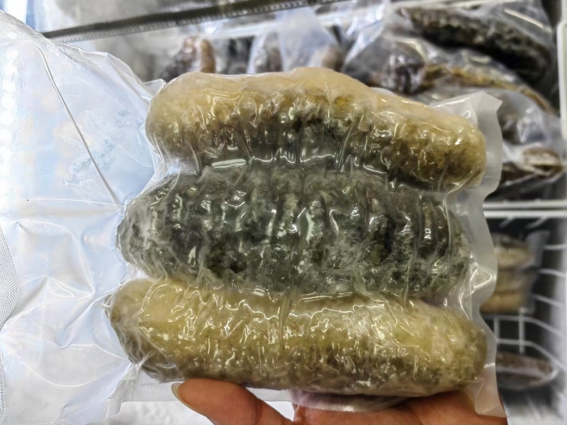 水发明秃海参，酒楼会所必备精品