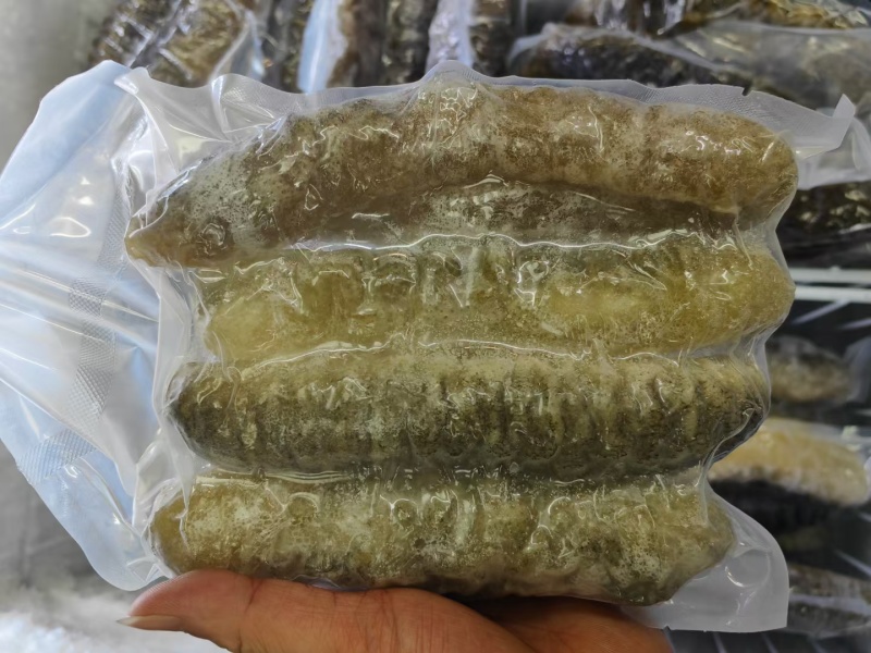 水发明秃海参，酒楼会所必备精品