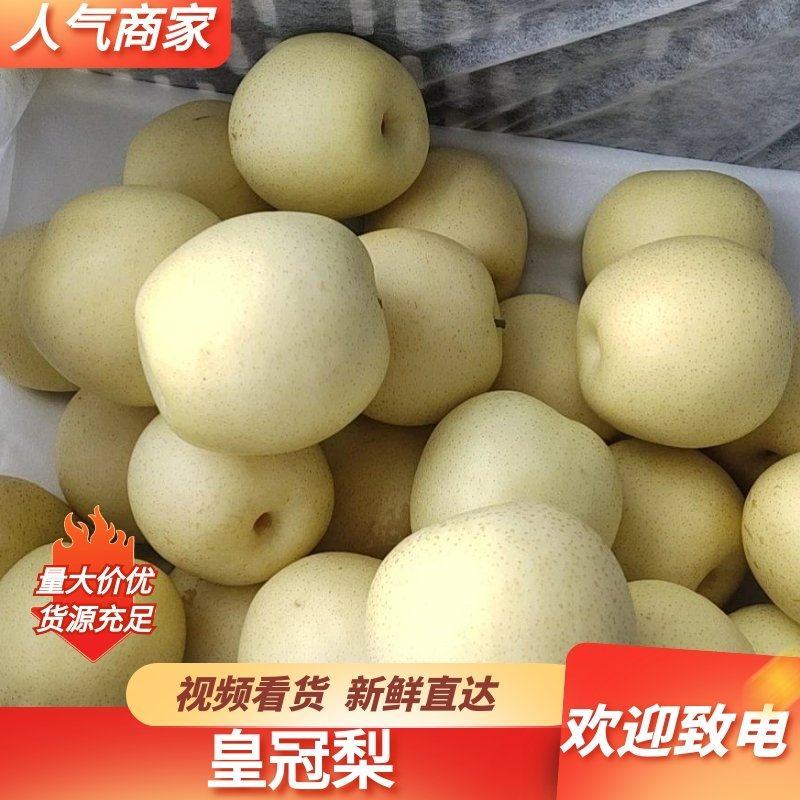 精品皇冠梨河北皇冠梨无中间商赚差价一手货源现货现发