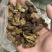 蛴螬蛴螬干老母虫干实拍发货如图现货