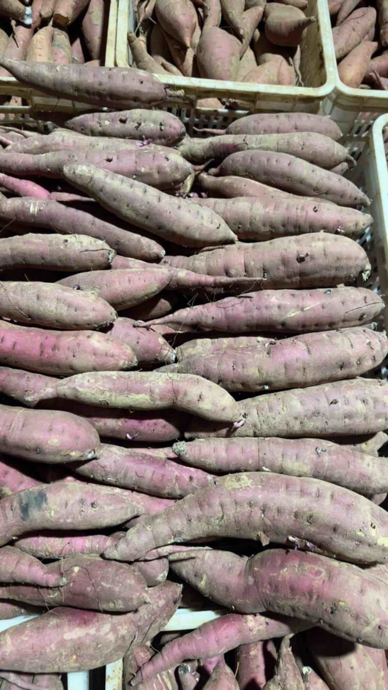 红瑶蜜薯日本红瑶产地直发品种齐全量大从优