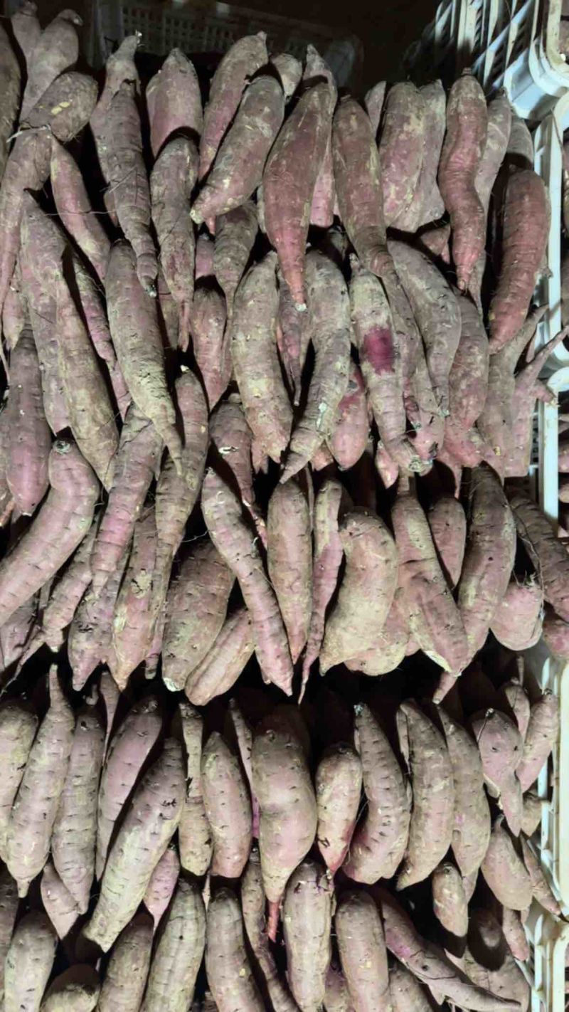红瑶蜜薯日本红瑶产地直发品种齐全量大从优