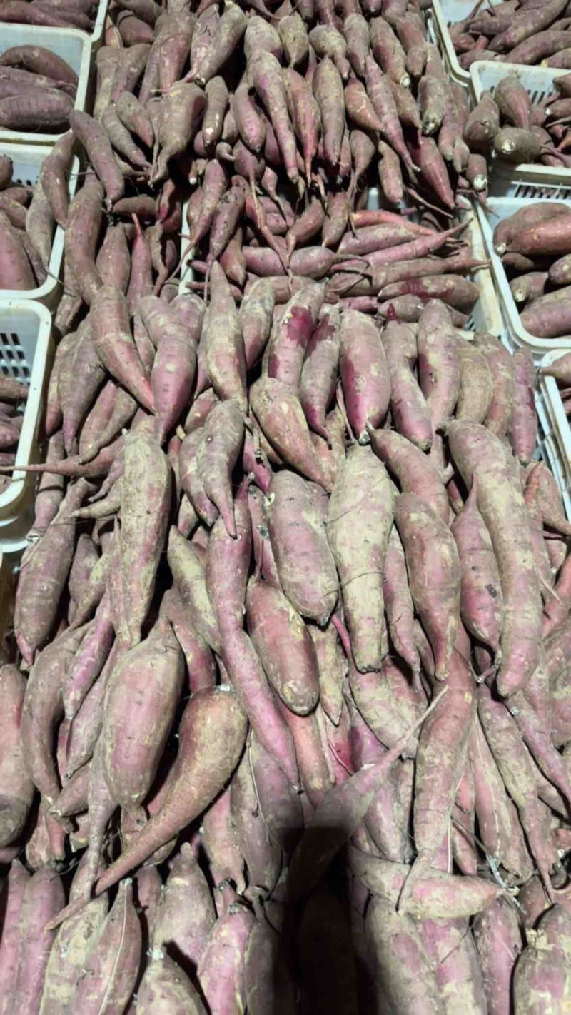 红瑶蜜薯日本红瑶产地直发品种齐全量大从优