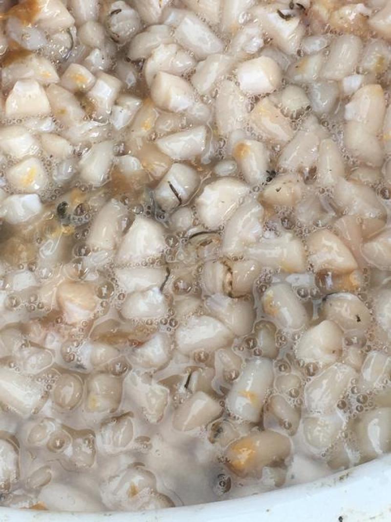 新鲜扇贝丁，原产地一手发货原汁原味，货新鲜，量大优惠，