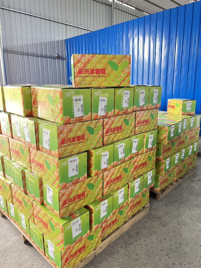 永兴冰糖橙