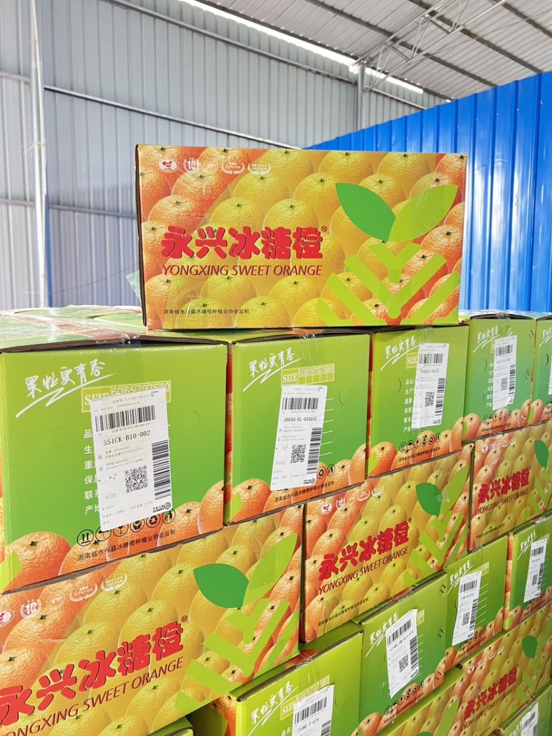 永兴冰糖橙
