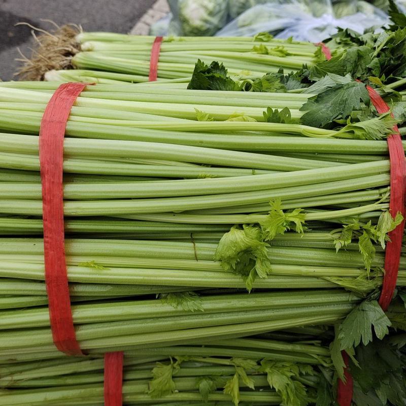 湖北芹菜正在上市，可以配菜
