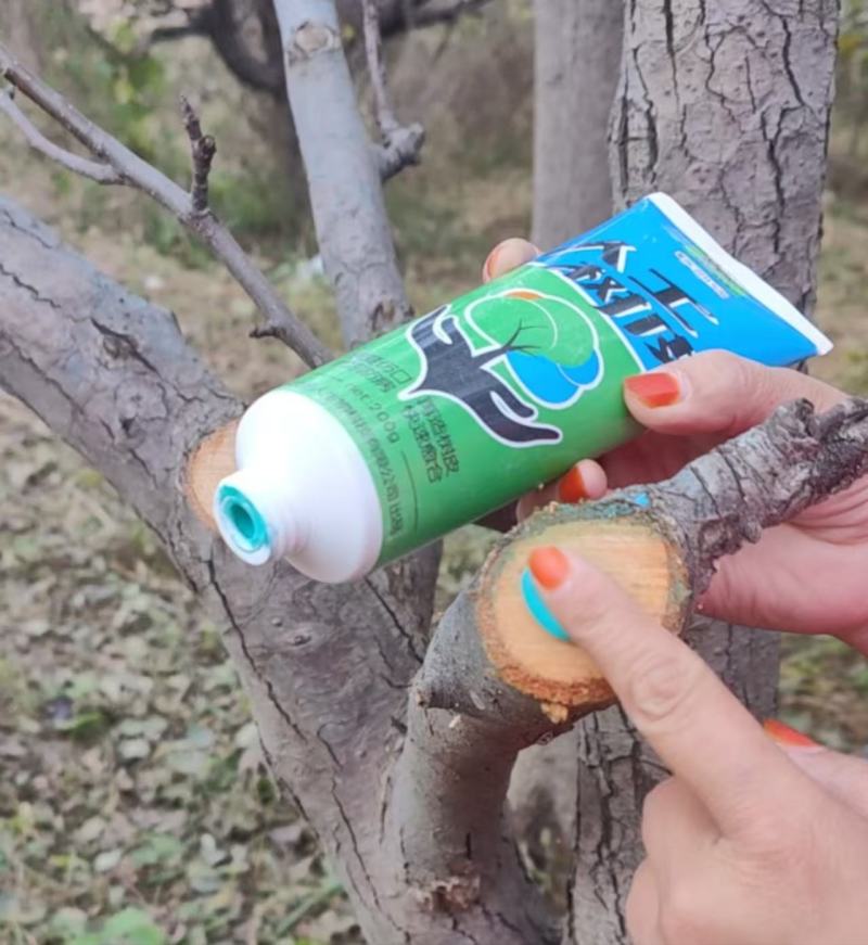 愈合剂大量批发