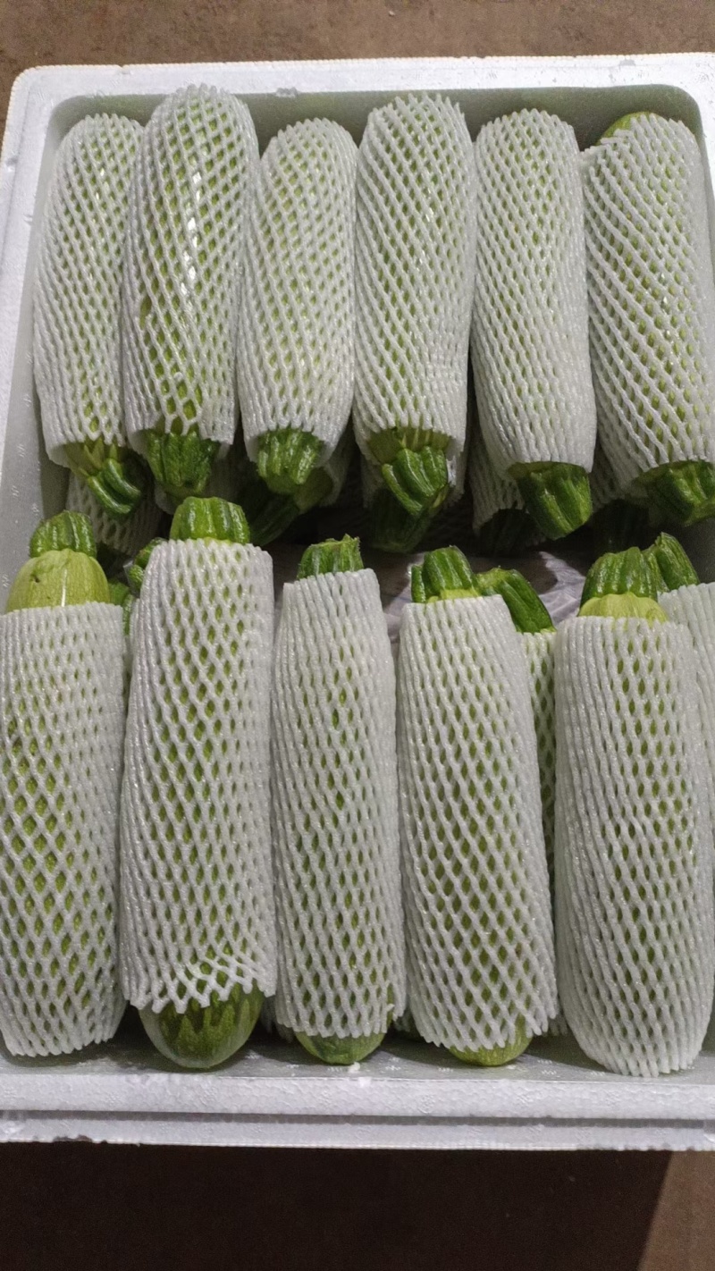 云南西葫芦