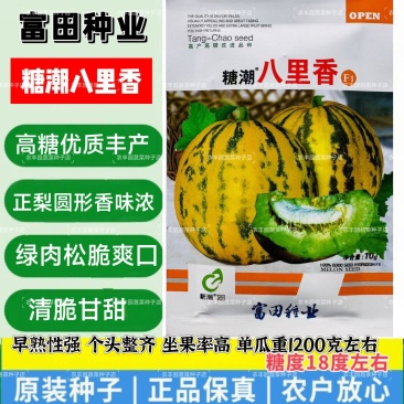 甜瓜种子糖潮八里香甜瓜种子早熟高糖丰产香瓜种子易管理香瓜