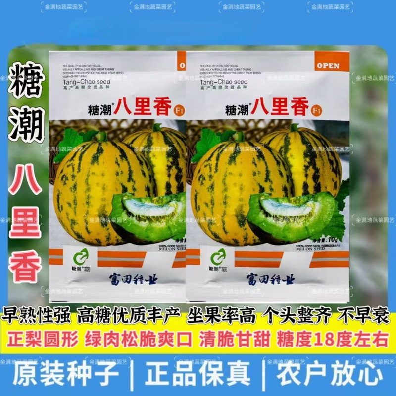 甜瓜种子糖潮八里香甜瓜种子早熟高糖丰产香瓜种子易管理香瓜