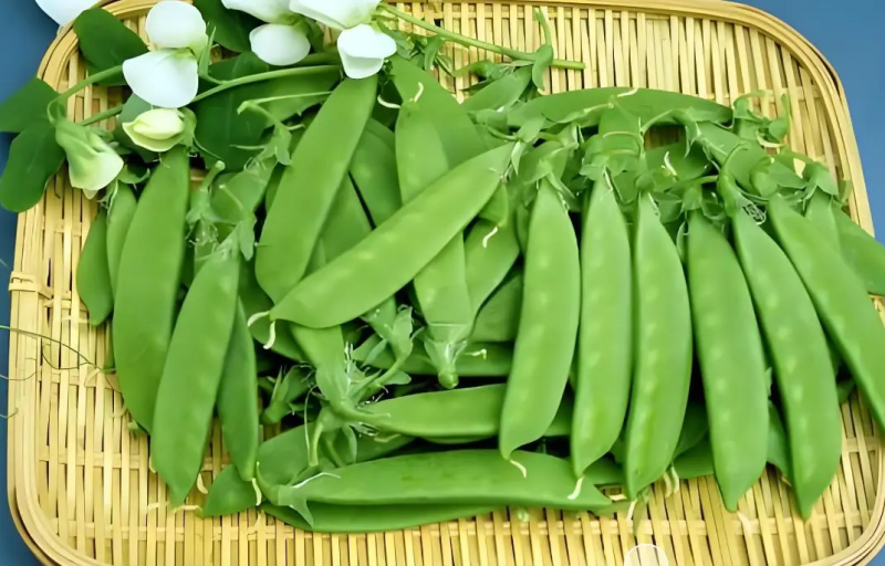 荷兰豆