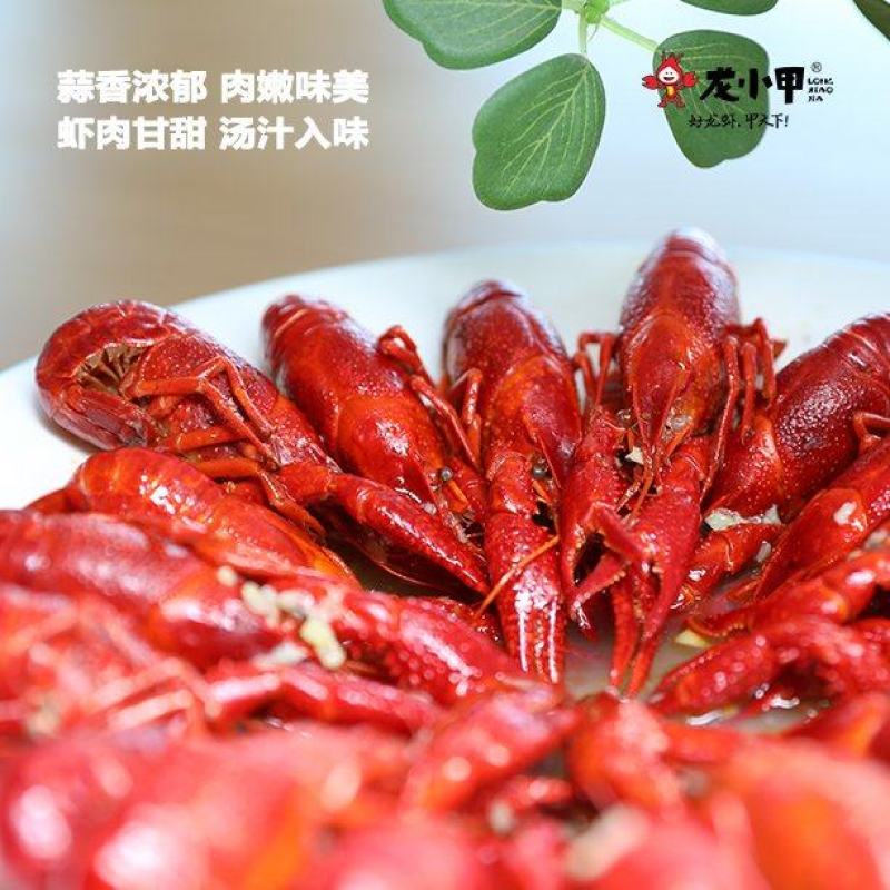 【精品】麻辣小龙虾熟食海鲜活虾现烧各种口味可选