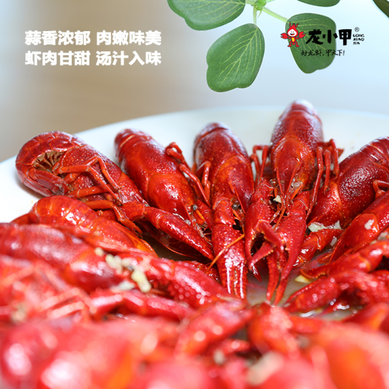 蒜蓉小龙虾加热即食麻辣十三香小龙虾多种口味可选