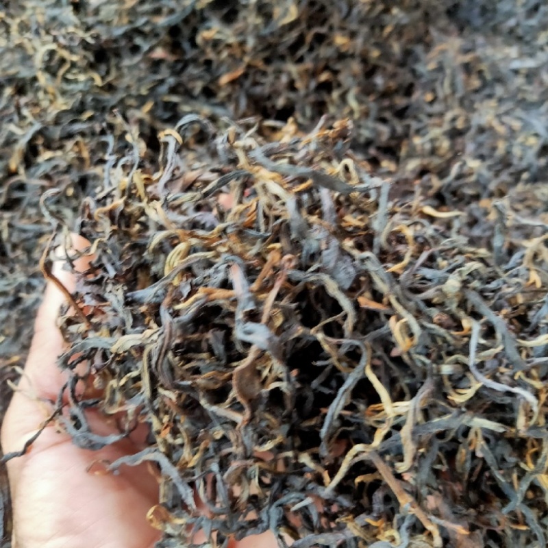 云南普洱生茶散茶头春纯料古树云南普洱茶散装礼盒批发包邮
