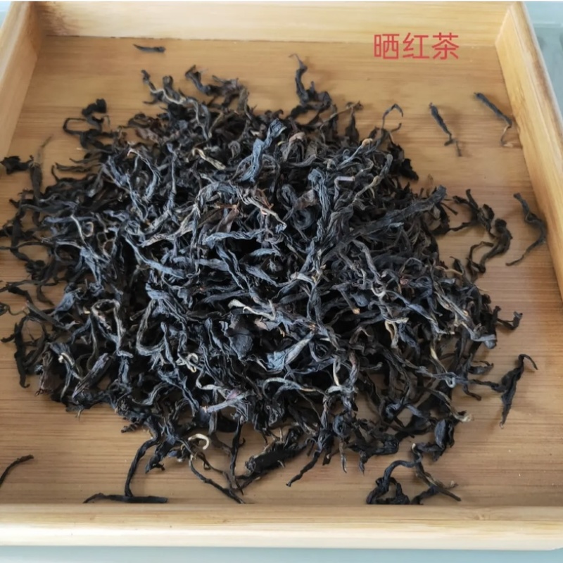 云南普洱生茶散茶头春纯料古树云南普洱茶散装礼盒批发包邮