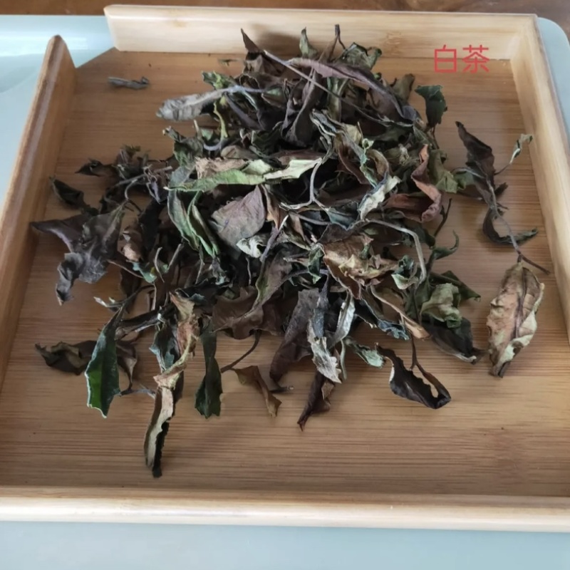 云南普洱生茶散茶头春纯料古树云南普洱茶散装礼盒批发包邮
