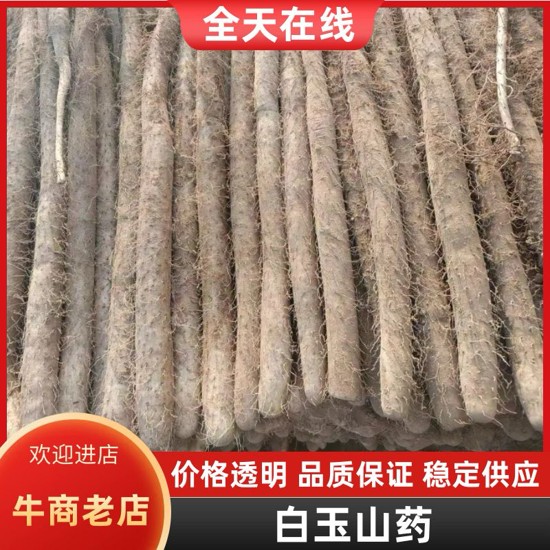 榆林新白玉山药大量有货，品质保证，质量好