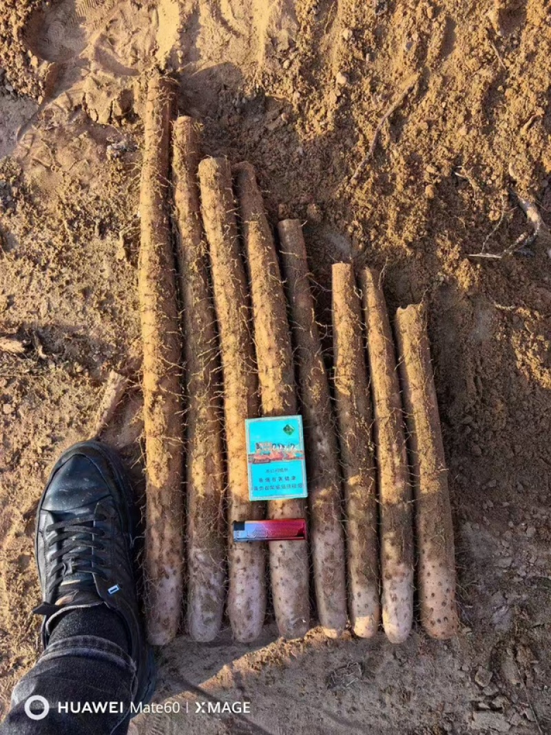 白玉山药，大家好，新货上市中，品质保证，价格优惠