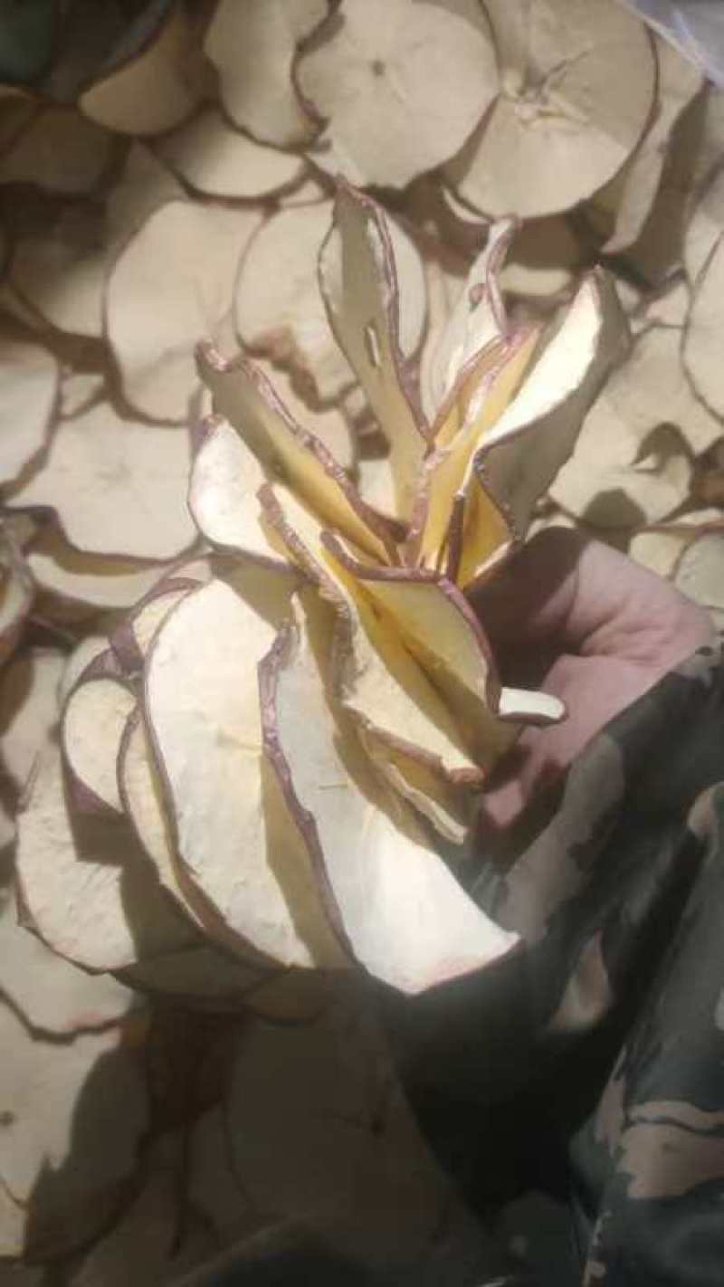 河北苹果干厂家一手货，视频看货，对接商超市场电商社区团购