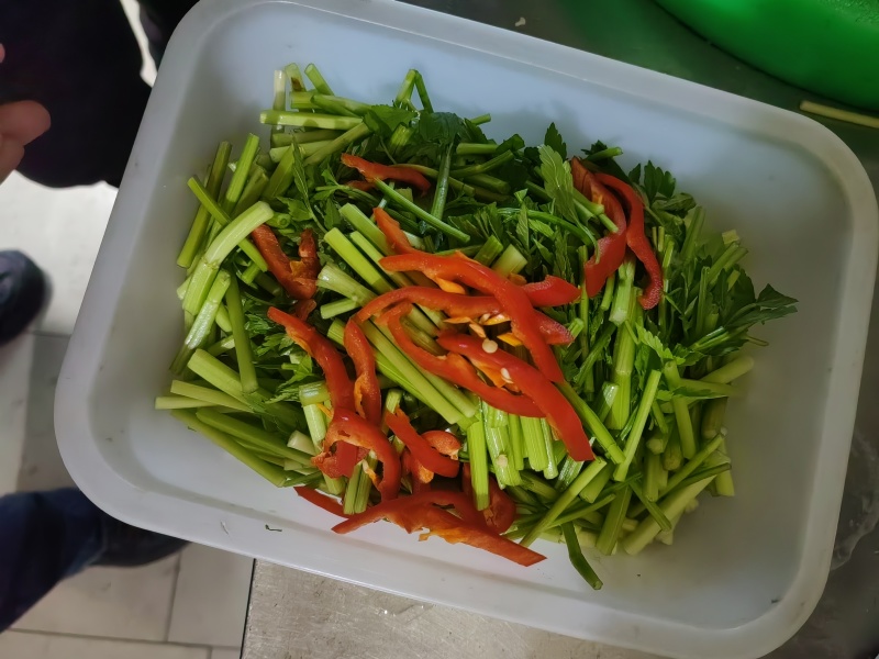 叶菜类/芹菜/水芹/江苏宿迁产地直供对接批发代收代卖