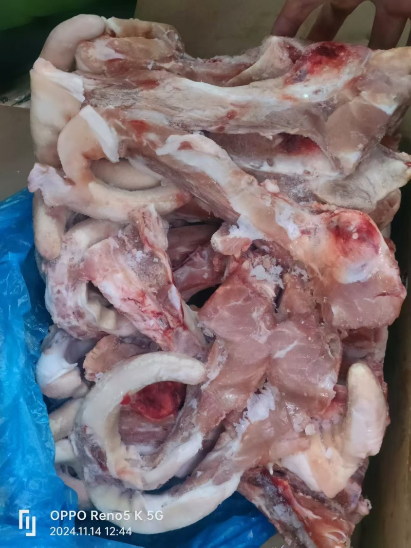肥猪尾叉骨多肉，纯干，通货，