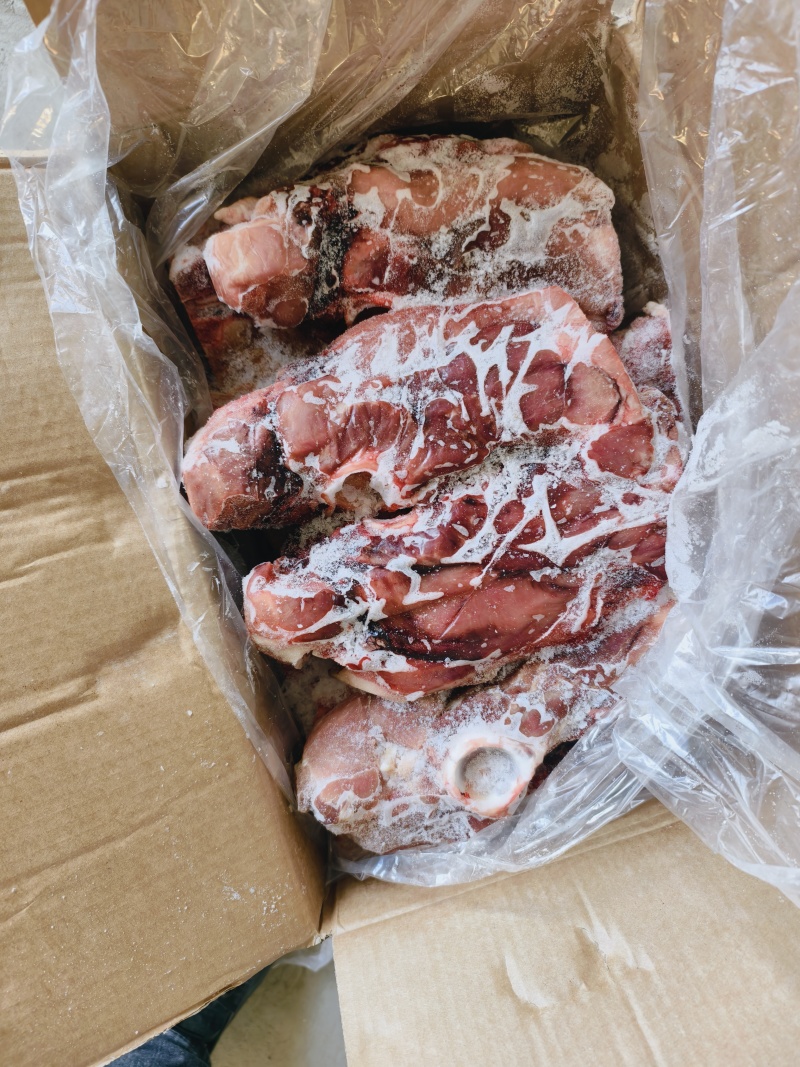 肥猪尾叉骨多肉，纯干，通货，