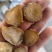 香附片附片四川货过筛新货无杂质1000g起批
