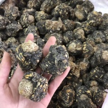 优质玛卡果，玛卡片，规格齐全，货源充足，量大价优