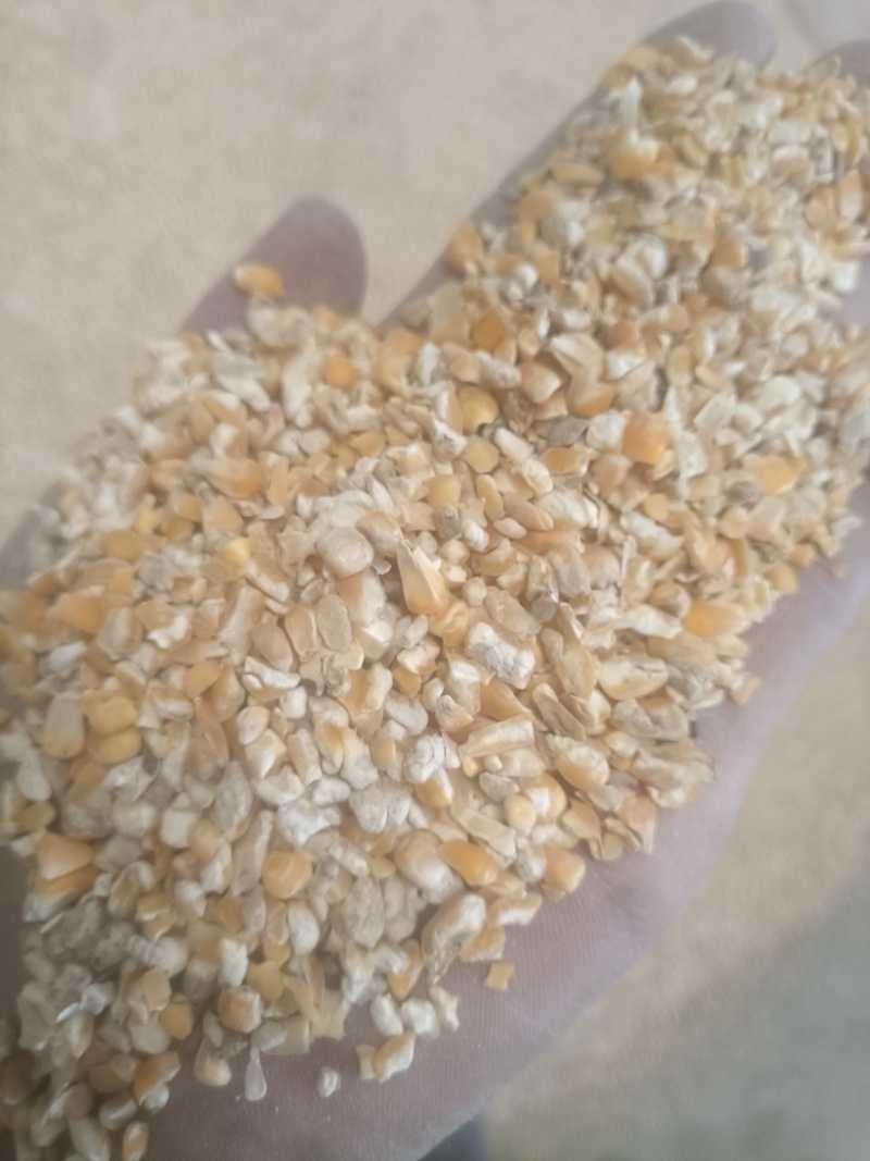 碎玉米漏