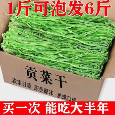 今年新菜贡菜无叶贡菜干新鲜苔干苔菜响菜