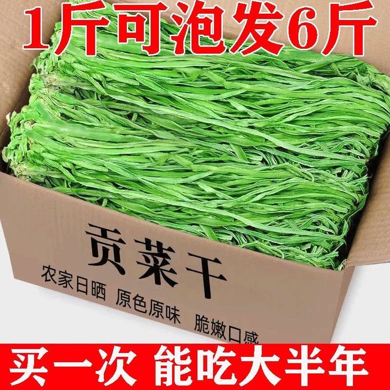 今年新菜贡菜无叶贡菜干新鲜苔干苔菜响菜