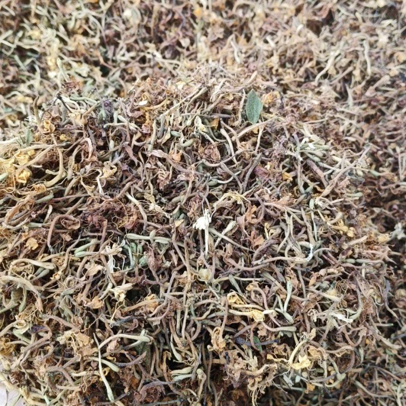 金银花产地直发品质保障量大优惠欢迎进店咨询采购